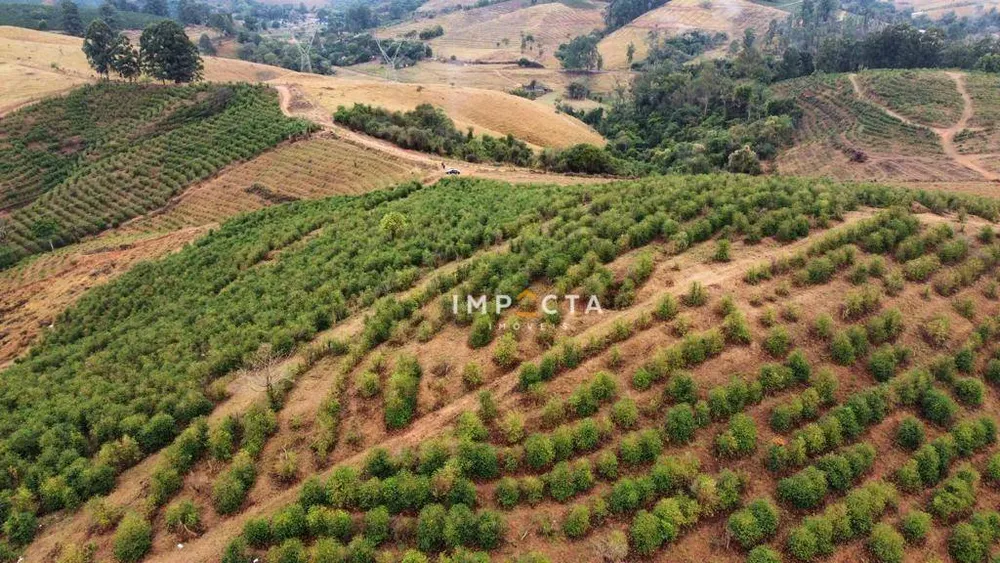 Fazenda, 428 hectares - Foto 8