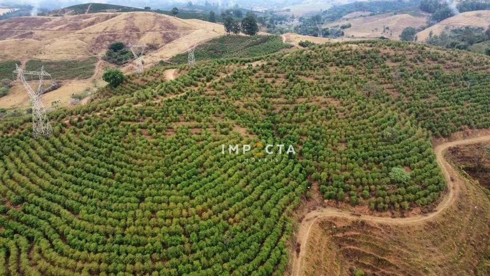 Fazenda, 428 hectares - Foto 7