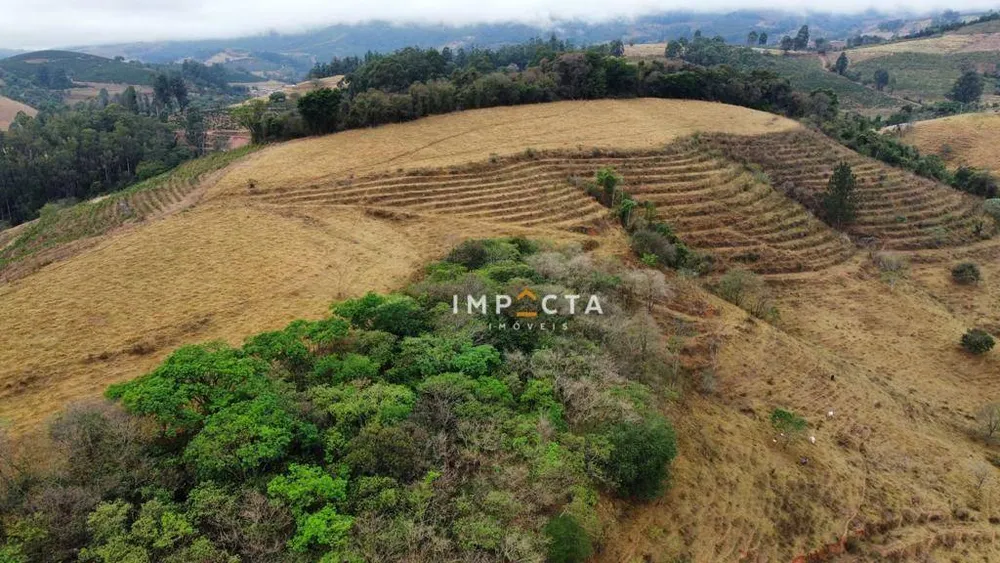 Fazenda, 428 hectares - Foto 2