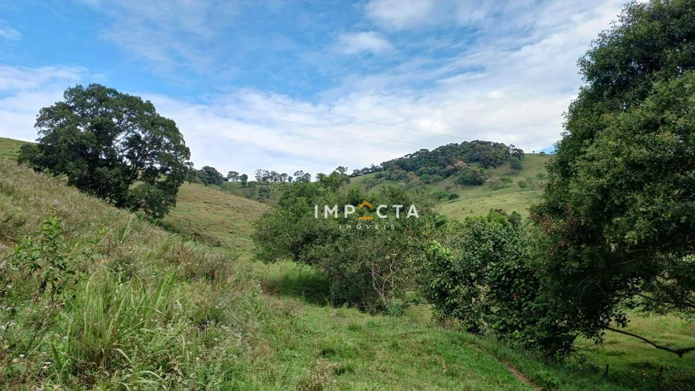 Terreno, 19 hectares - Foto 7