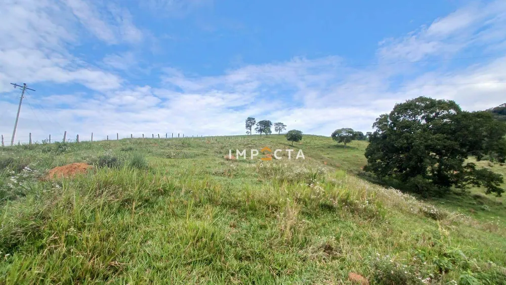 Terreno, 19 hectares - Foto 3