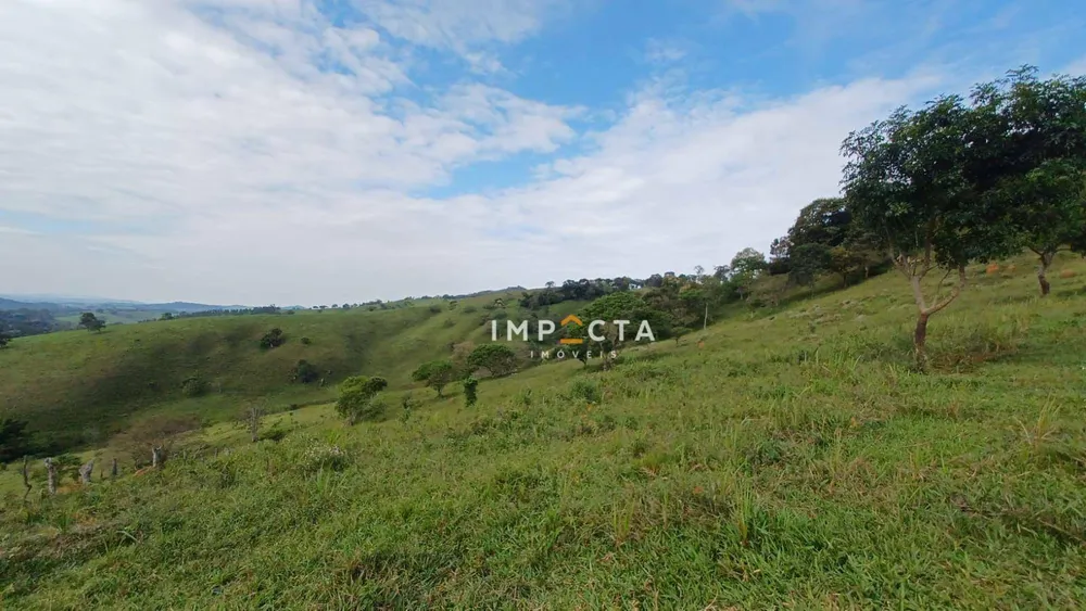 Terreno, 19 hectares - Foto 6