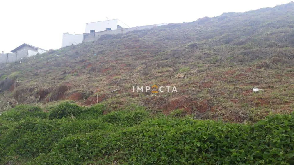Terreno, 9000 m² - Foto 3