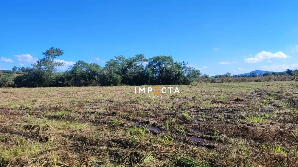 Terreno, 4 hectares - Foto 6