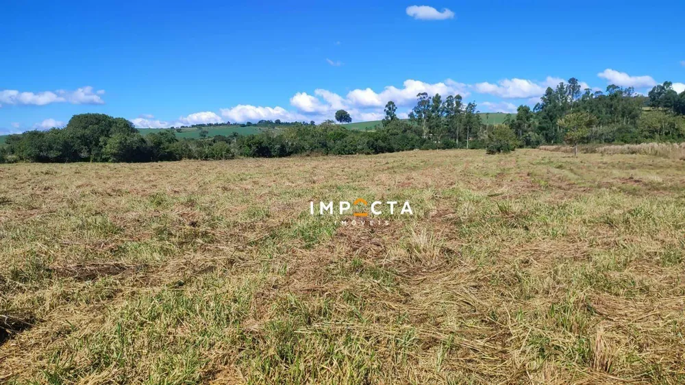 Terreno, 4 hectares - Foto 4