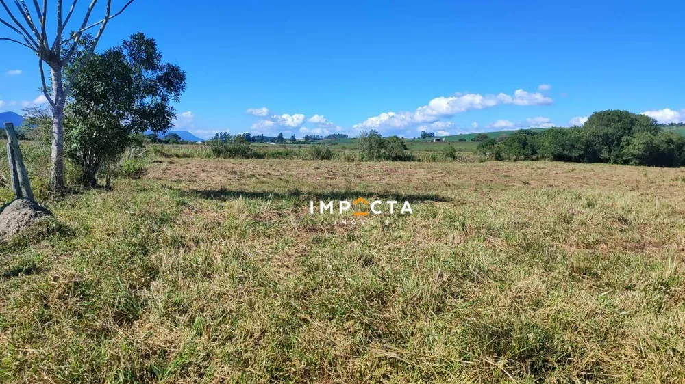 Terreno, 4 hectares - Foto 3