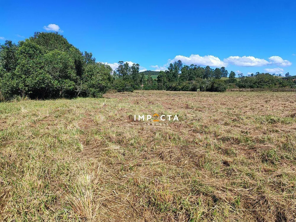 Terreno, 4 hectares - Foto 2