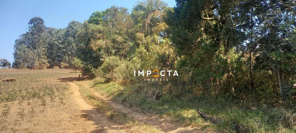 Terreno, 2 hectares - Foto 2