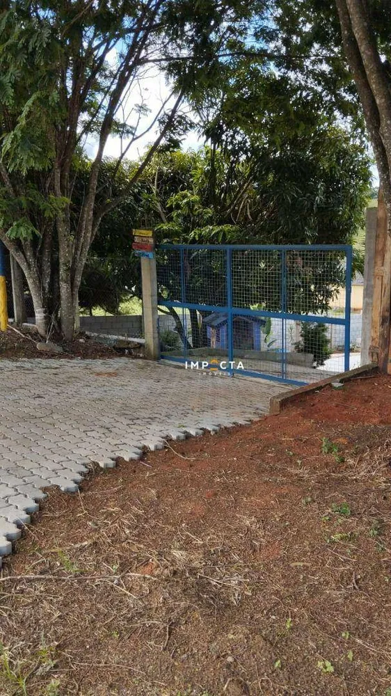 Chácara, 4 quartos, 5000 m² - Foto 2