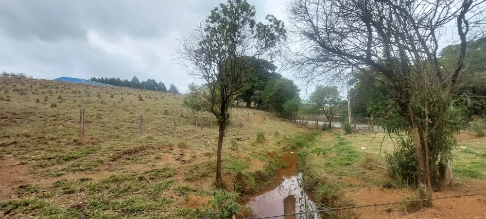 Terreno, 2 hectares - Foto 2