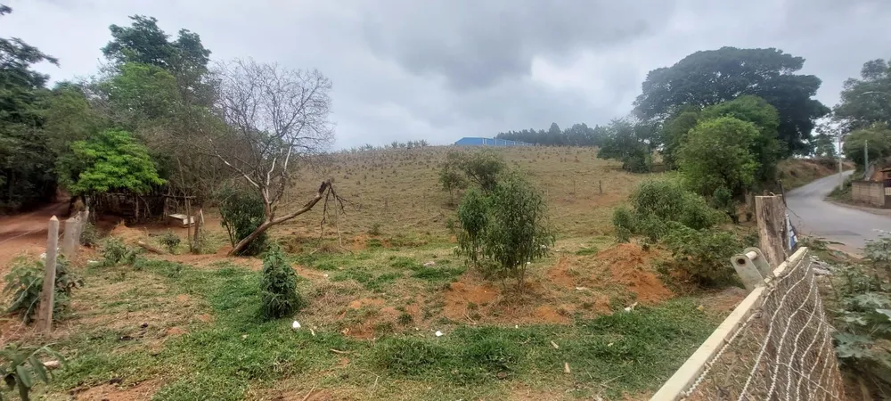 Terreno, 2 hectares - Foto 3