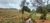 Terreno, 2 hectares - Foto 2
