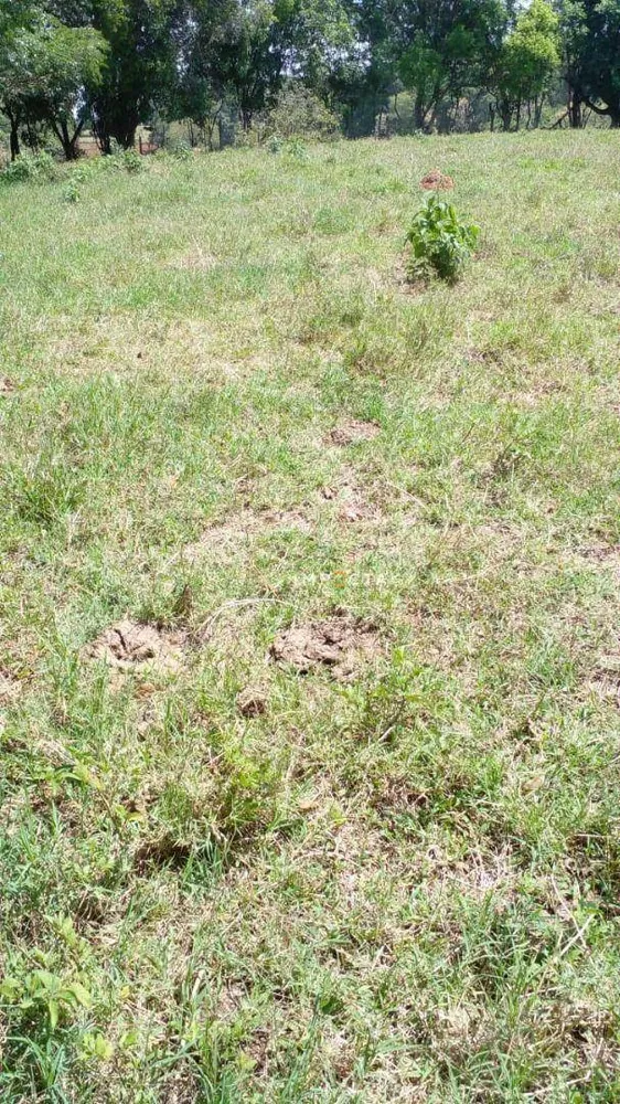 Loteamento e Condomínio, 3000 m² - Foto 3