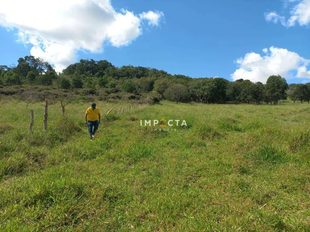 Terreno, 3 hectares - Foto 2
