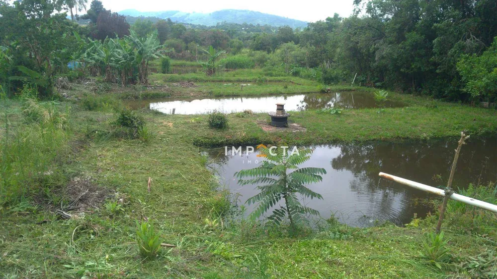 Chácara, 3 quartos, 8000 m² - Foto 1