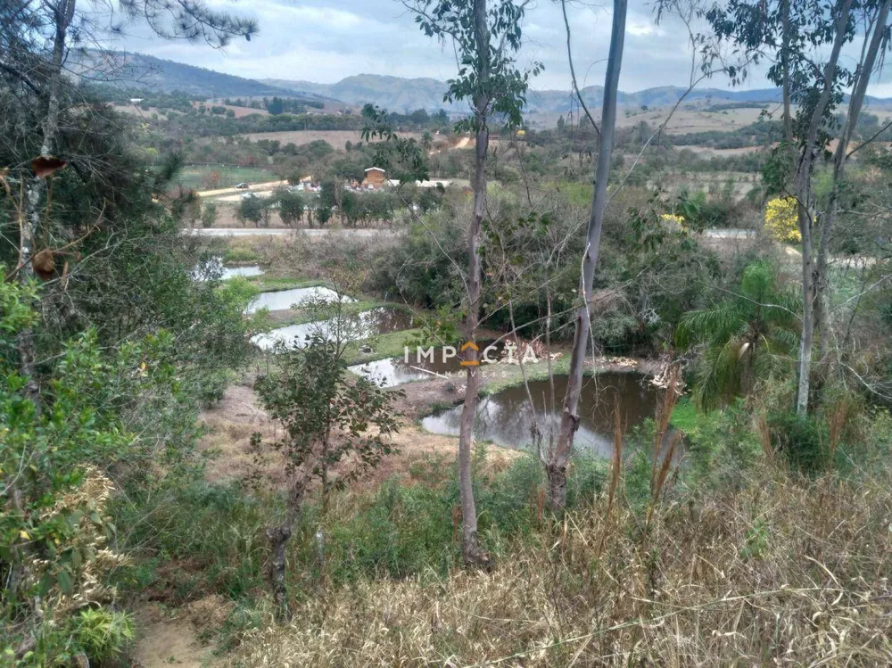 Chácara, 3 quartos, 8000 m² - Foto 7