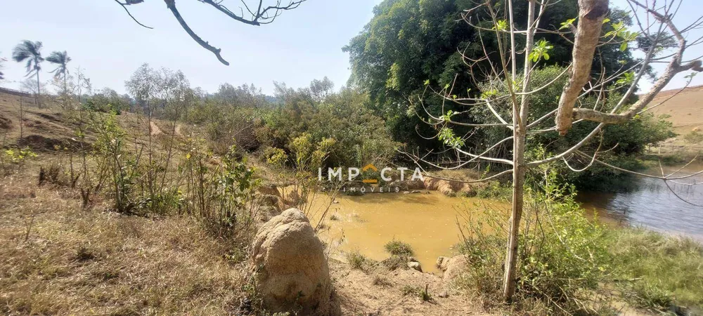 Fazenda, 23 hectares - Foto 8