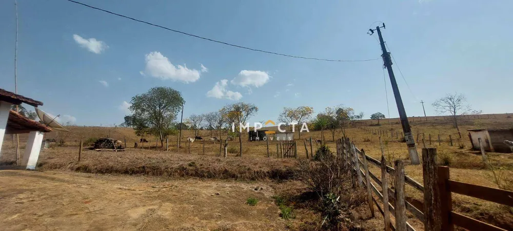 Fazenda, 23 hectares - Foto 11