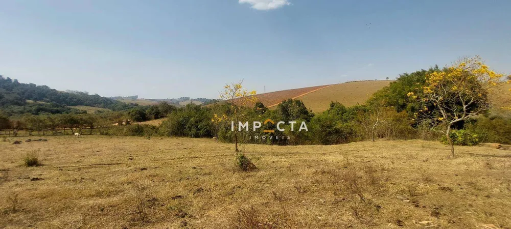 Fazenda, 23 hectares - Foto 4