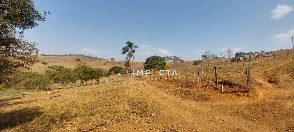 Fazenda, 23 hectares - Foto 3