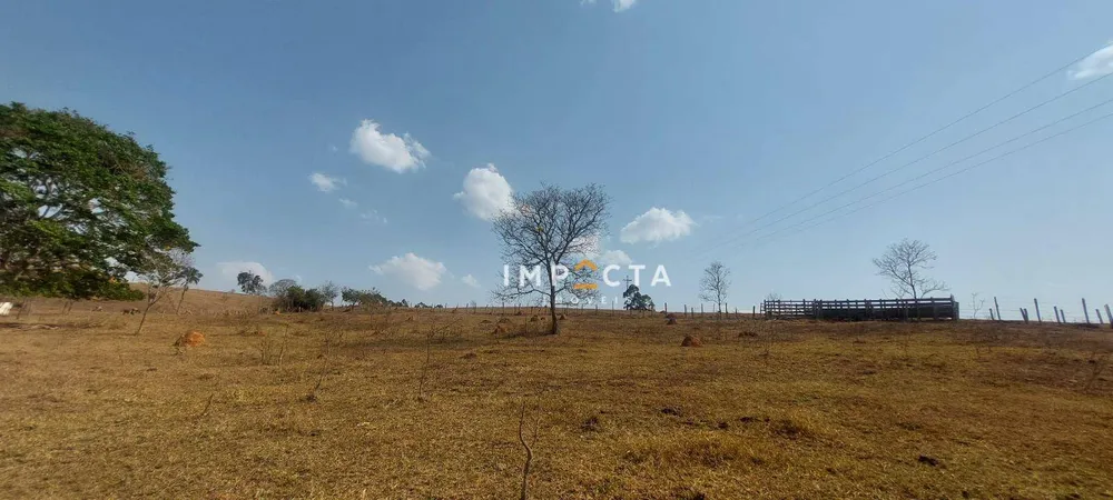 Fazenda, 23 hectares - Foto 10