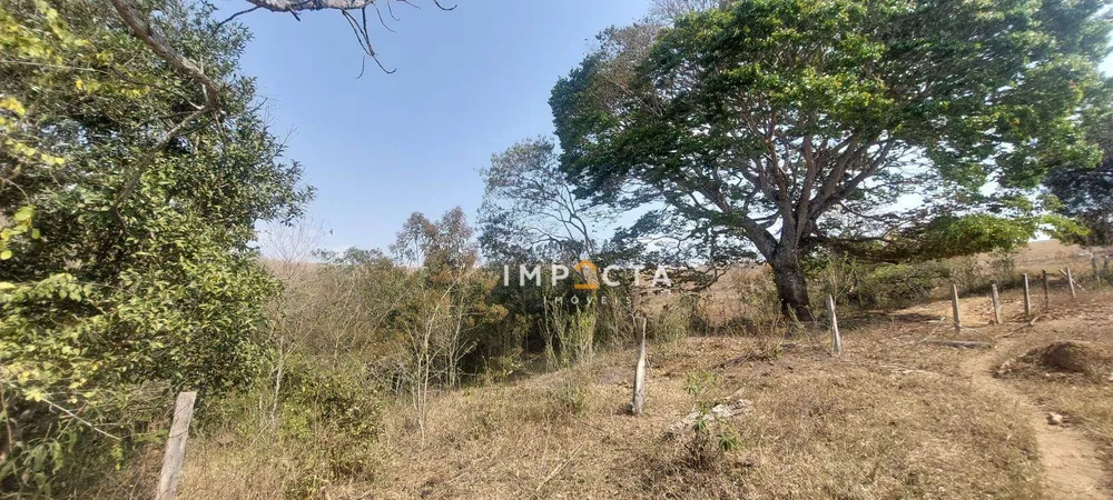 Fazenda, 23 hectares - Foto 6