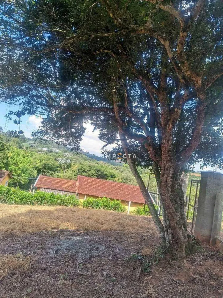 Terreno, 1000 m² - Foto 1