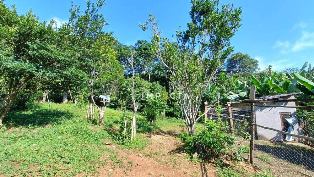 Chácara, 3 quartos, 6050 m² - Foto 4