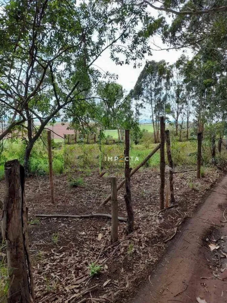 Chácara, 3 quartos, 6050 m² - Foto 10