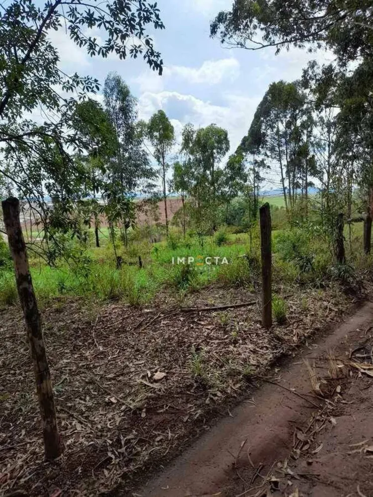 Chácara, 3 quartos, 6050 m² - Foto 9