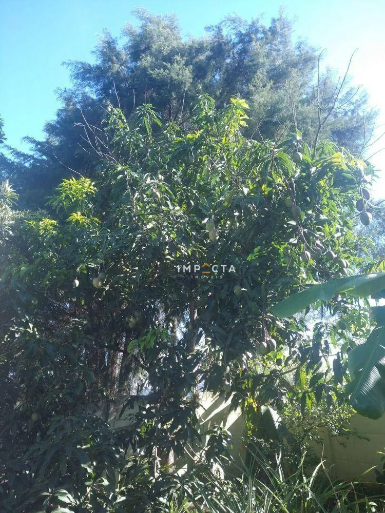 Chácara, 3 quartos, 3000 m² - Foto 5