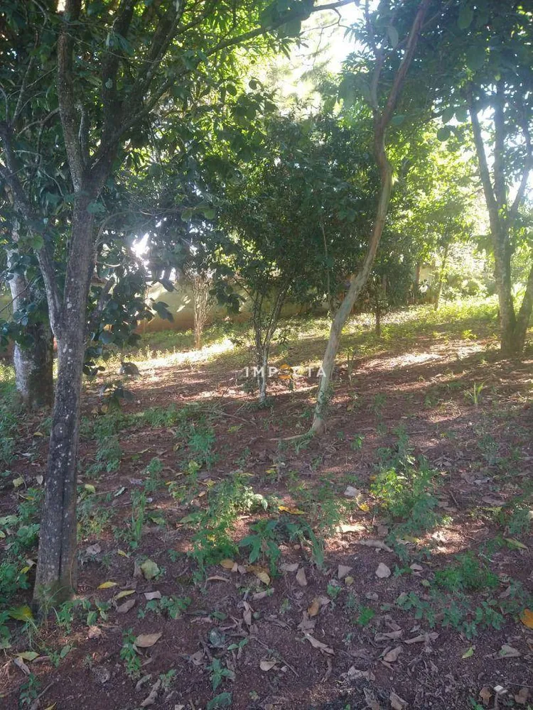 Chácara, 3 quartos, 3000 m² - Foto 6