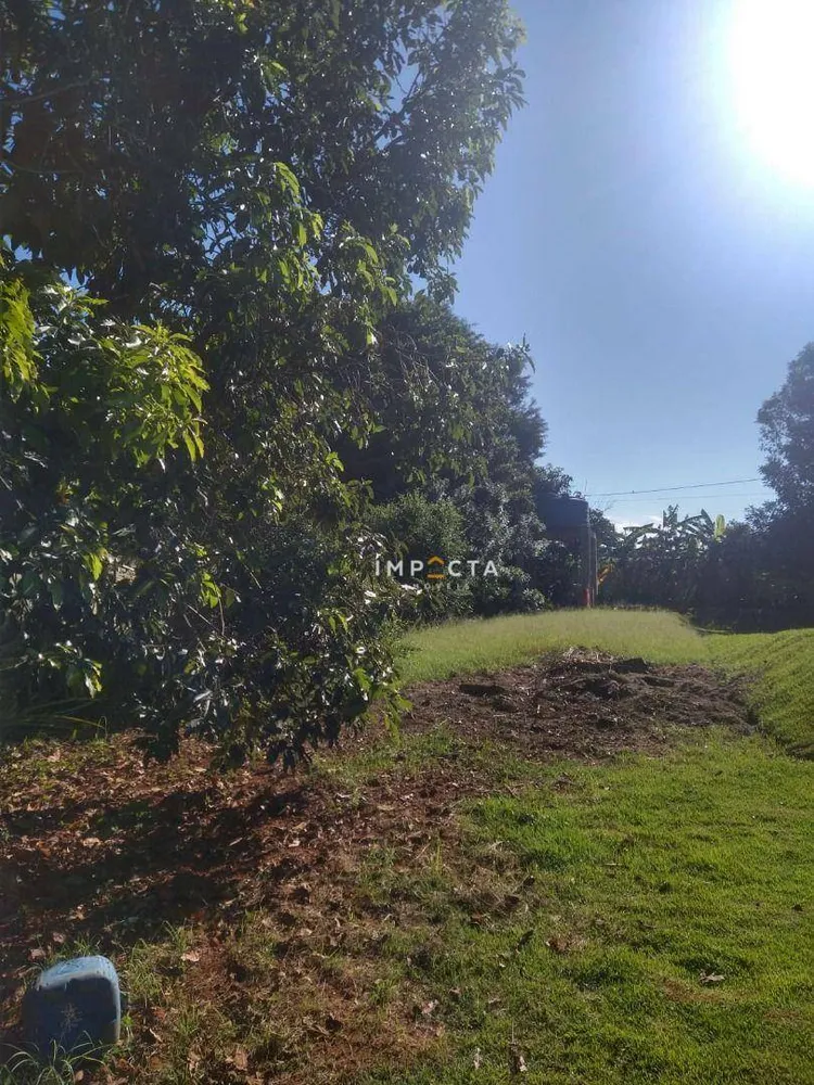 Chácara, 3 quartos, 3000 m² - Foto 4