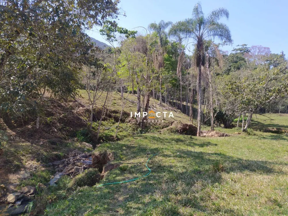 Terreno, 3 hectares - Foto 7