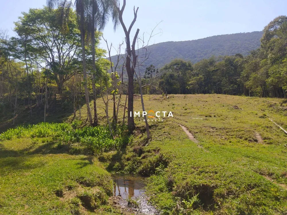 Terreno, 3 hectares - Foto 1