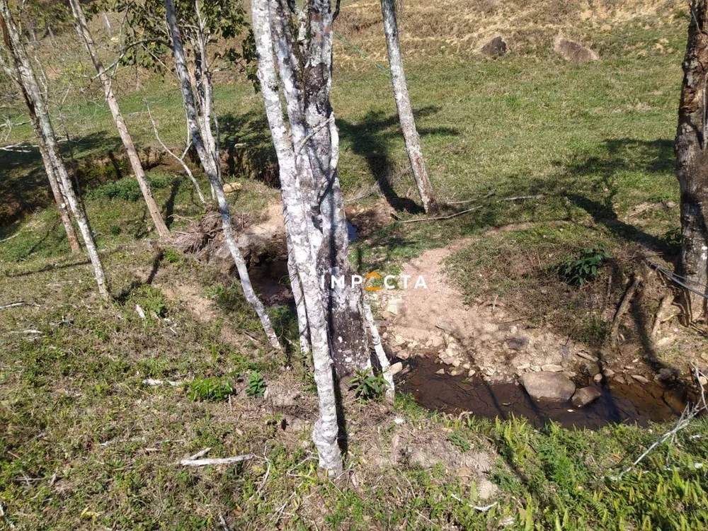 Terreno, 3 hectares - Foto 4