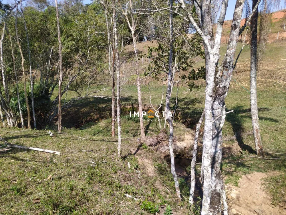 Terreno, 3 hectares - Foto 3