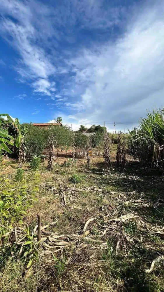 Terreno, 1000 m² - Foto 3