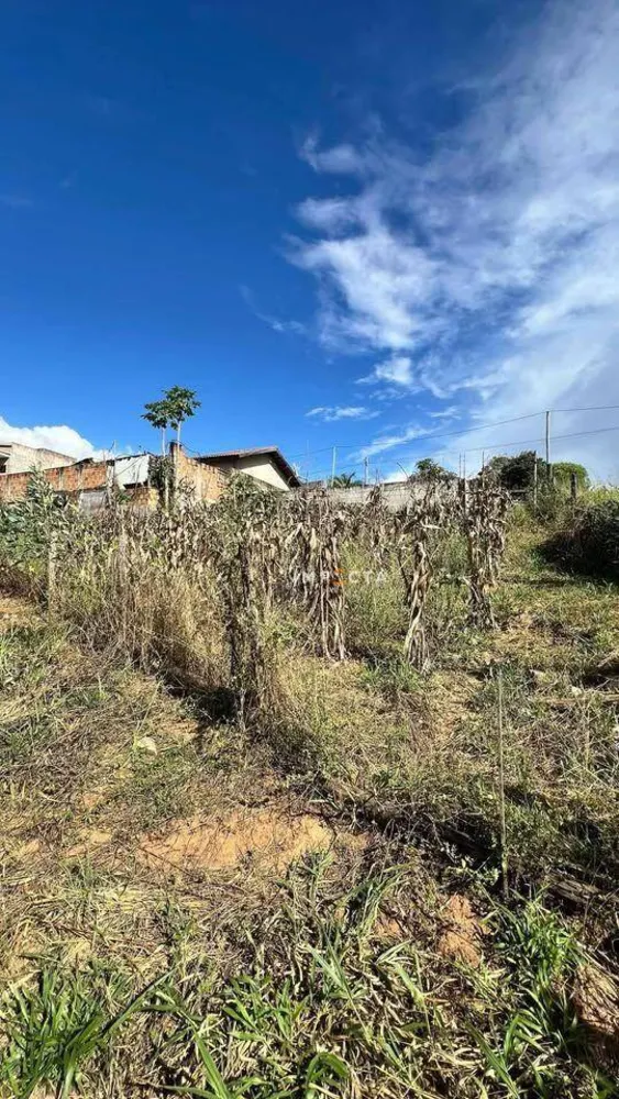 Terreno, 1000 m² - Foto 2
