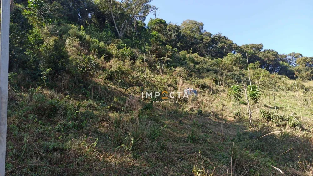Terreno, 4 hectares - Foto 8