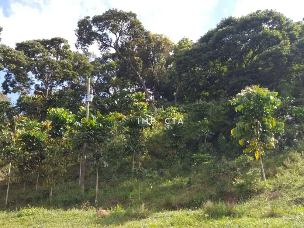 Terreno, 4 hectares - Foto 4