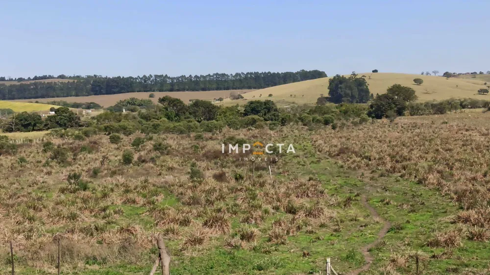 Terreno, 4 hectares - Foto 8