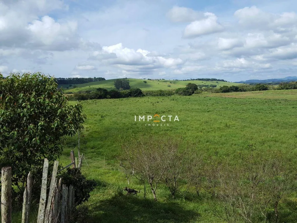 Terreno, 4 hectares - Foto 6