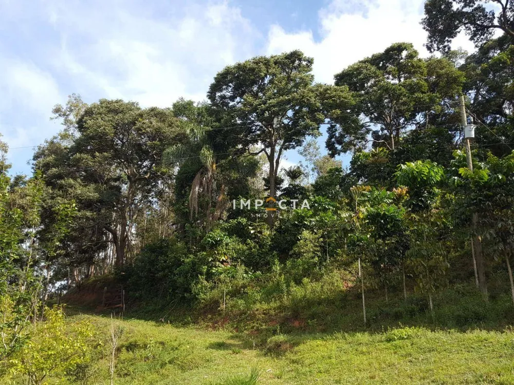 Terreno, 4 hectares - Foto 2