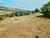 Terreno, 1000 m² - Foto 2