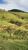 Fazenda-Sítio-Chácara, 85 hectares - Foto 7