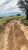 Fazenda-Sítio-Chácara, 85 hectares - Foto 4