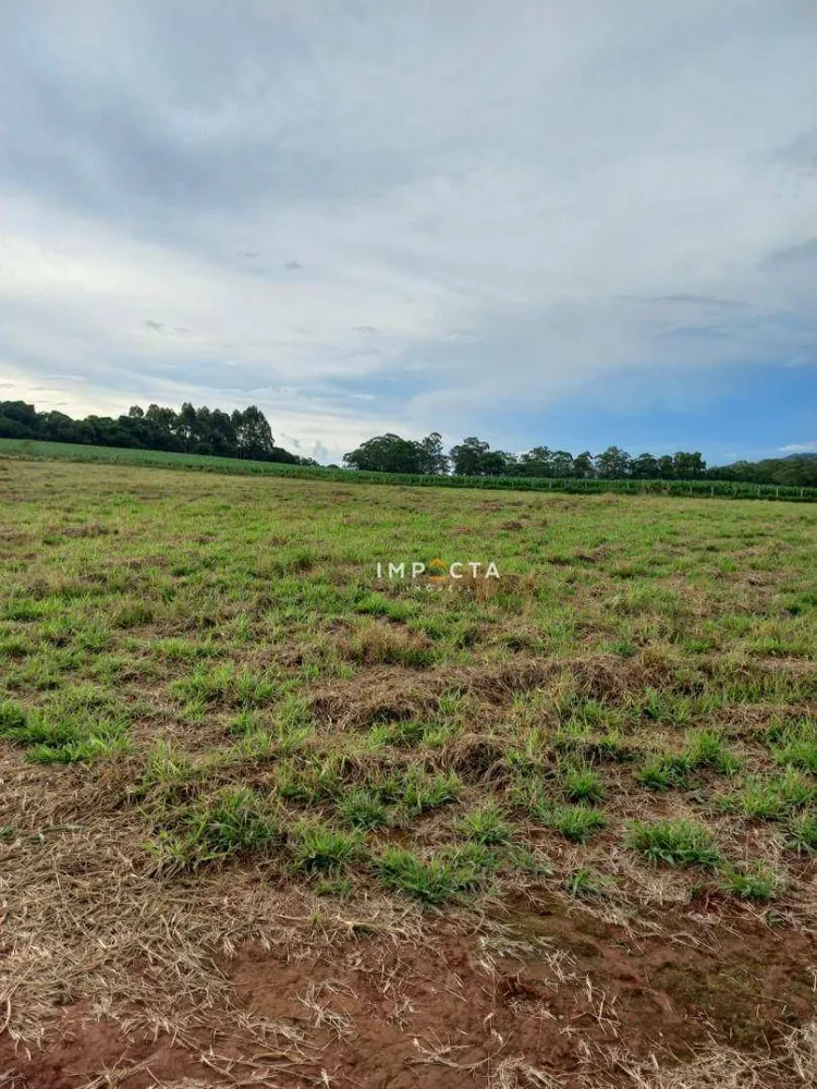 Terreno, 4000 m² - Foto 3