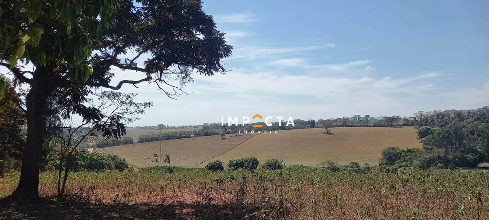 Terreno, 4 hectares - Foto 4
