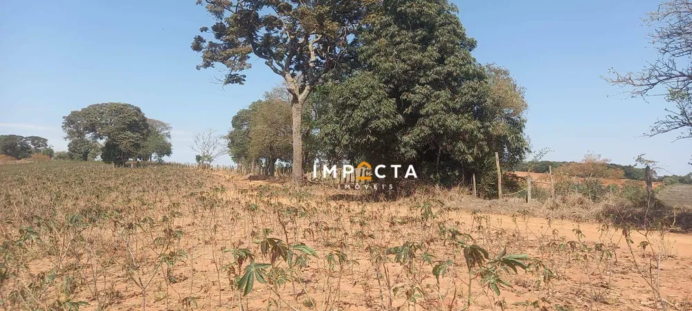 Terreno, 4 hectares - Foto 6